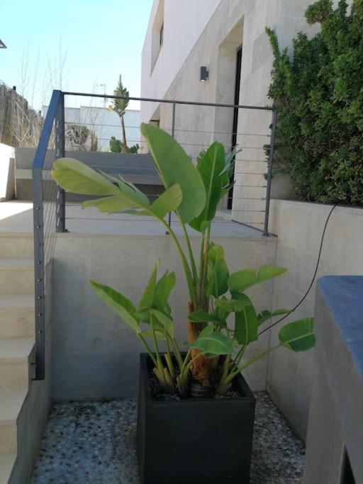Precioso Chalet Vanguardista ميورقة المظهر الخارجي الصورة